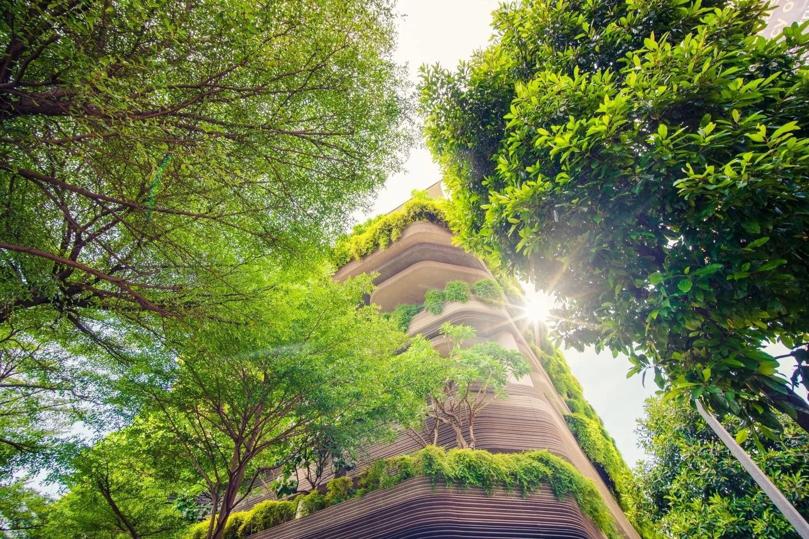Environmental Image